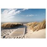 Leinwandbild Ostsee Strand IV Beige - 120 x 80 x 2 cm - Breite: 120 cm