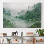 Leinwandbild Dschungel im Nebel II Grün - 60 x 40 x 2 cm - Breite: 60 cm