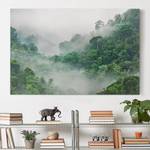 Impression sur toile Jungle II Vert - 120 x 80 x 2 cm - Largeur : 120 cm