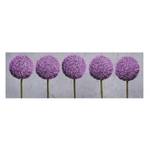 Impression sur toile Allium II Violet - 120 x 40 x 2 cm - Largeur : 120 cm