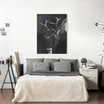 Impression sur toile Cerf II Noir / Blanc - 60 x 80 x 2 cm - Largeur : 60 cm