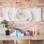 Impression sur toile Pretty Rose II Blanc - 120 x 40 x 2 cm - Largeur : 120 cm