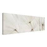 Impression sur toile Herbe douce II Blanc - 150 x 50 x 2 cm - Largeur : 150 cm