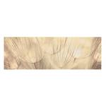 Impression sur toile Pissenlit II Beige - 120 x 40 x 2 cm - Largeur : 120 cm