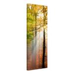 Afbeelding Morning Light II oranje - 40 x 120 x 2 cm - Breedte: 40 cm