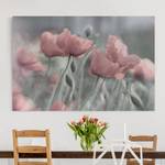 Impression sur toile Pavots peint IV Rose - 120 x 80 x 2 cm - Largeur : 120 cm