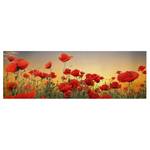 Impression sur toile Coquelicots II Rouge - 150 x 50 x 2 cm - Largeur : 150 cm