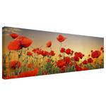 Canvas Campo di papaveri II Rosso - 120 x 40 x 2 cm - Larghezza: 120 cm