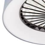 LED-Deckenventilator Clara Leinen / Acrylglas - 1-flammig