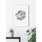 Afbeelding Succulent Aeonium papier - zwart  wit