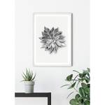 Wandbild Succulent Agave Papier - Schwarz  / Weiß