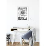 Wandbild Succulent Closeup Papier - Schwarz  / Weiß