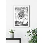 Afbeelding Succulent Closeup papier - zwart  wit