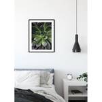 Poster Succulent Single Carta - Verde / Lilla