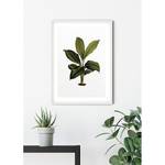 Wandbild Elastica Leaf Papier - Mehrfarbig