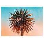 Wandbild Palm Tree Papier - Mehrfarbig