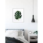 Wandbild Monstera Leaf Papier - Grün / Weiß