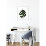 Tableau déco Monstera Leaf Papier - Vert / Blanc