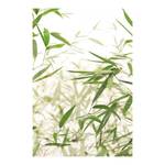 Tableau déco Bamboo Leaves Papier - Blanc / Vert