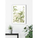 Wandbild Bamboo Leaves Papier - Weiß / Grün