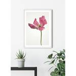 Poster Tulip Carta - Rosa / Verde