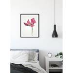 Wandbild Tulip