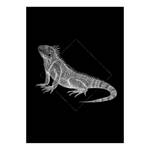 Afbeelding Iguana Black papier - zwart/wit