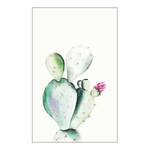 Prickly Pear Wandbild Watercolor