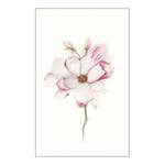 Poster Magnolia Blossom Carta - Rosa / Verde