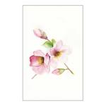 Poster Magnolia Breathe Carta - Rosa / Verde