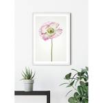 Wandbild Poppy Papier - Weiß / Rosa