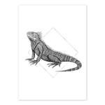 Tableau déco Iguana White Papier - Noir / Blanc