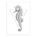 Poster Sea Horse Carta - Bianco