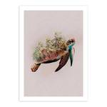 Wandbild Animals Paradise Turtle Papier - Mehrfarbig