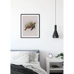 Poster Animals Paradise Turtle Carta - Multicolore