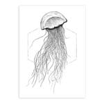 Wandbild Jellyfish Papier - Weiß