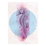 Poster Sea Horse Carta - Rosa