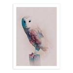 Wandbild Animals Forest Owl Papier - Mehrfarbig