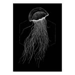 Wandbild Jellyfish Papier - Schwarz