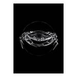 Afbeelding Crab papier - Zwart