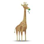 Wandbild Cute Animal Giraffe Papier - Weiß / Braun