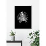 Poster Feather Carta - Nero