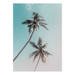 Poster Miami Palms Carta - Marrone / Blu