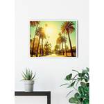 Afbeelding Palm Alley papier - meerdere kleuren