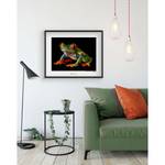 Poster Red-eyed Treefrog Carta - Multicolore