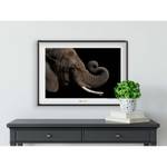 Poster African Elephant Carta - Marrone / Nero