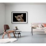 Wandbild Florida Panther Portrait Papier - Braun / Schwarz