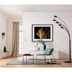 Wandbild Barbary Lion Papier - Braun / Schwarz