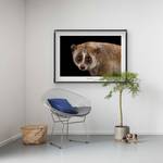 Poster Bengal Slow Loris Carta - Marrone / Nero