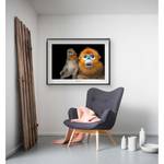 Wandbild Golden Snub-nosed Monkey Papier - Braun / Schwarz